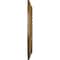 Ekena Millwork Alexandria Rope Ceiling Medallion (Fits Canopies up to 4 5/8"), 19 5/8"OD x 1 1/2"P, Rubbed Bronze CM18ALRZS - alternate 3